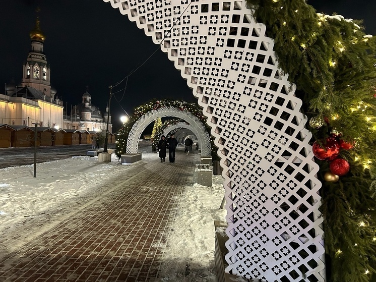 Дед Мороз зажжет огни на новогодней елке Вологды 27 декабря