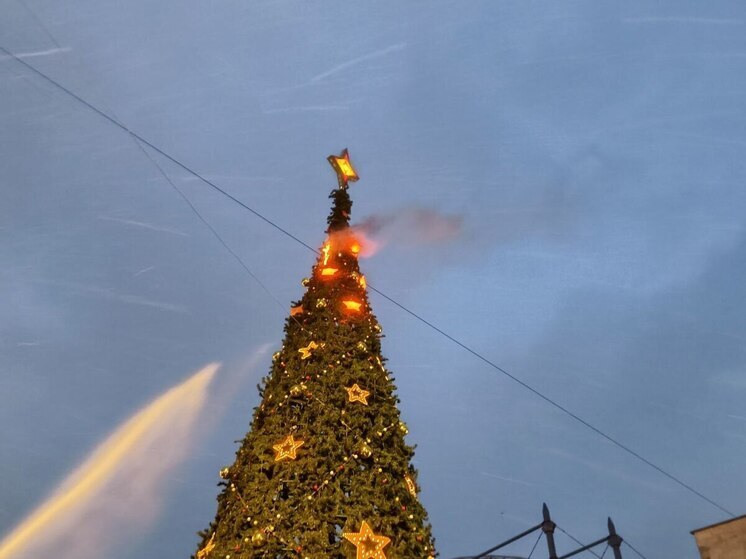 У метро «Дыбенко» в Петербурге едва не сгорела новогодняя ёлка