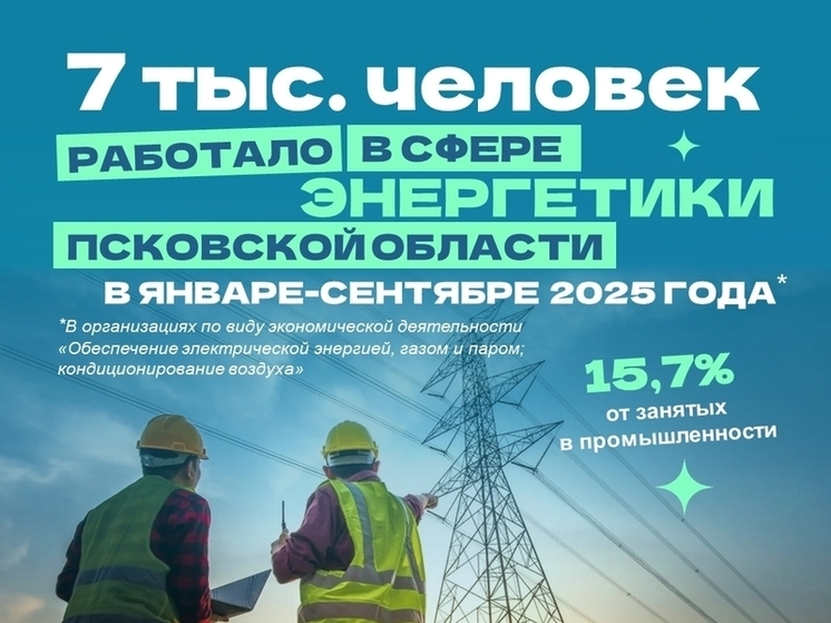 В Псковской области в День энергетика работают 7 тысяч специалистов отрасли