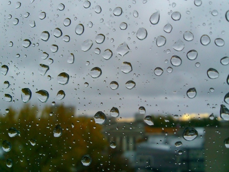 В Сочи и ФТ Сириус 22 декабря ожидаются дожди и температура до +16°C