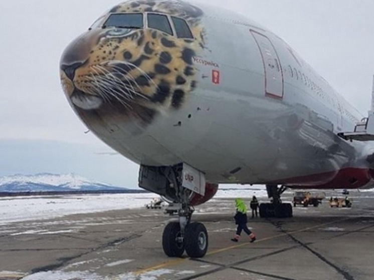 Из-за плохой погоды рейс Москва — Анадырь перенаправлен в Магадан