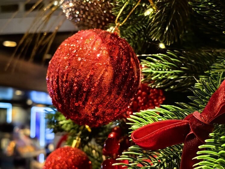 Аномальный 2025-й: Борис Кубай рассказал о рекордах жары и спокойствие в Приморье