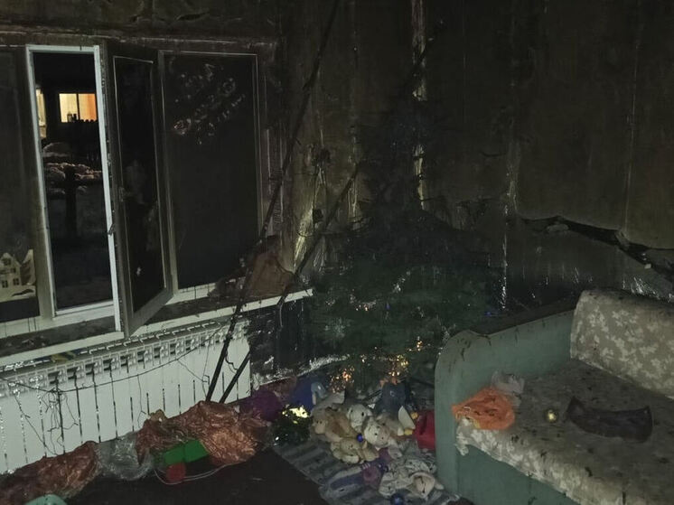 Детские игры со спичками оставили многодетную семью без жилья