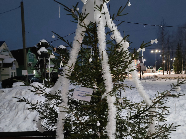 В Коноше открылась праздничная аллея новогодних ёлок