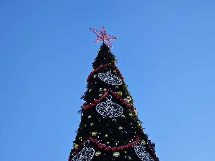 Города Новосибирской области поборются за звание обладателя самой красивой ёлки России