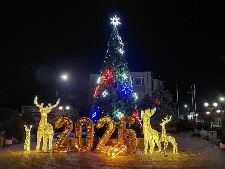 В запорожской Кирилловке установили новогодние локации