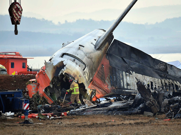 В Южной Корее решено провести независимое расследование страшной авиакатастрофы