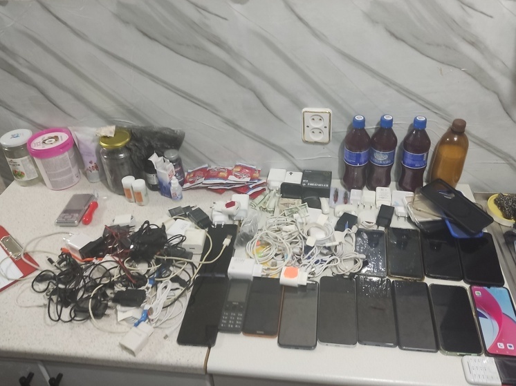 В пермскую колонию ИК-9 пытались доставить крупную партию запрещенных предметов