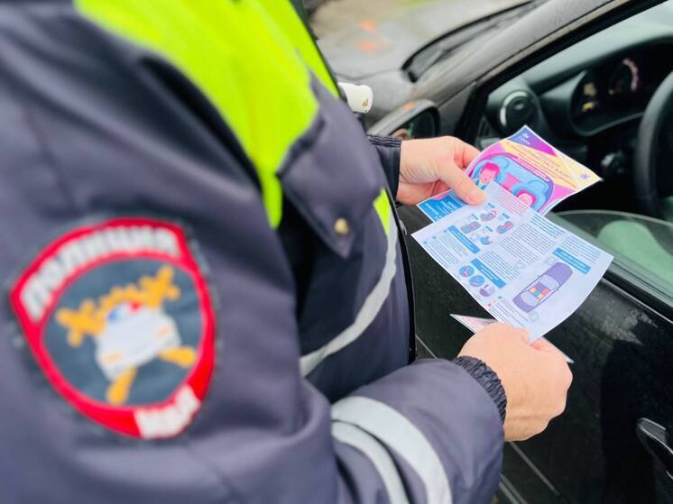 Профилактическая акция «Безопасные зимние каникулы» стартовала в Курской области