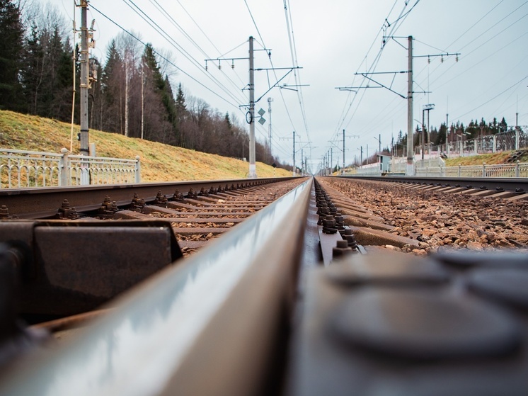 Сапсан сбил мужчину в Тверской области