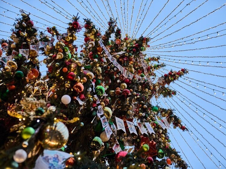  Как пензенцам весело отпраздновать новогодние праздники без проблем с законом