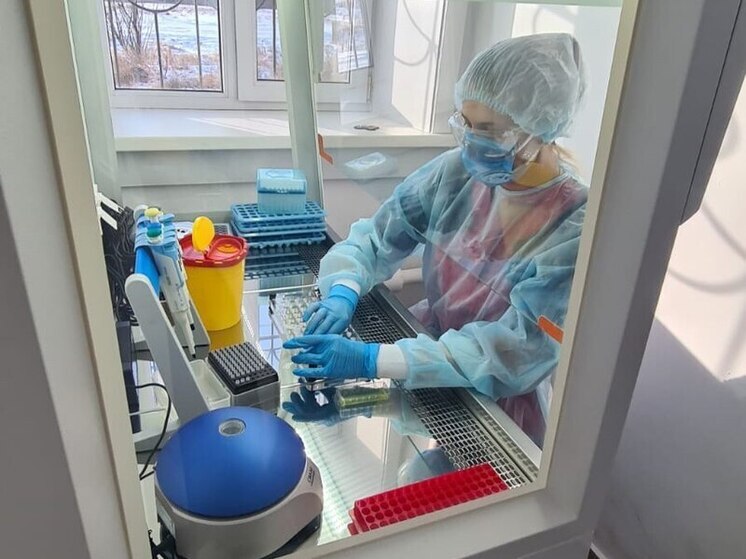 В Иркутской области усиливают меры защиты от птичьего гриппа