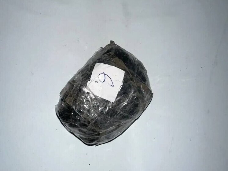 Пару наркоторговцев из Мурманска арестовали в Рязани