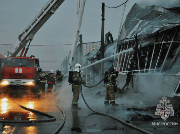 На минувшей неделе в Ростовской области случилось свыше 90 пожаров