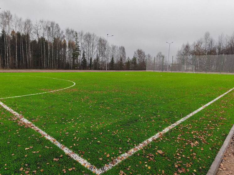 Территории Прикамья получат субсидии на реновацию спортивных объектов