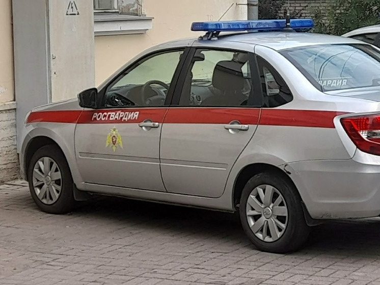 Росгвардейцы помогли успокоить пьяных дебоширов в новгородском кафе