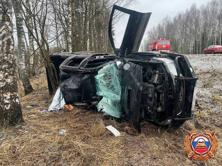 Два ДТП произошли в Тверской области в одном месте: машины вылетели с дороги из-за плохой погоды