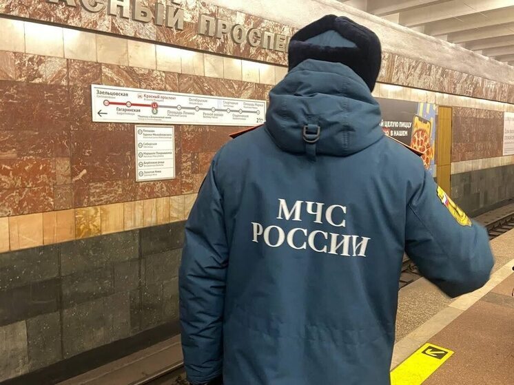 МЧС проверяет продажи пиротехники в Омской области перед Новым годом