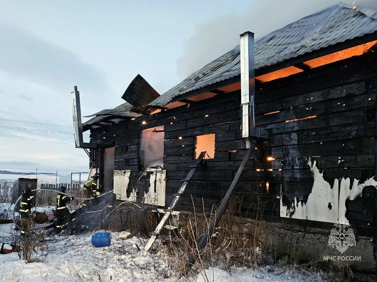 В южноуральском селе на пожаре погиб человек