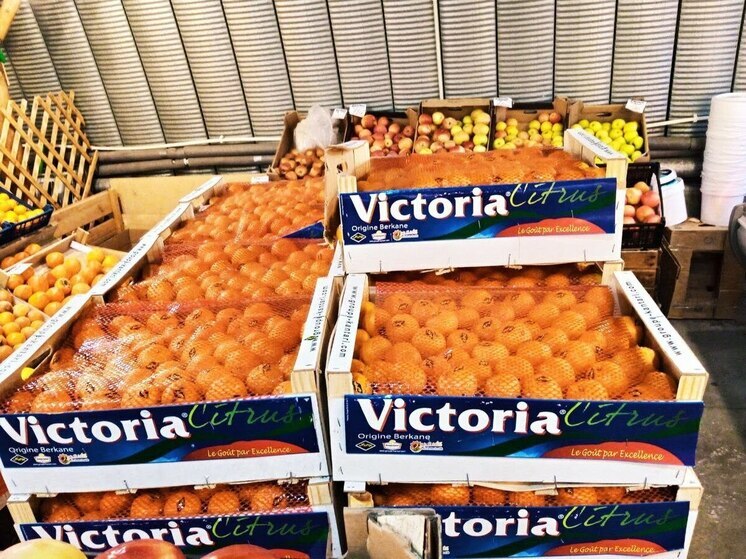 В Омске врачи рассказали, сколько мандаринов можно съедать без вреда для здоровья