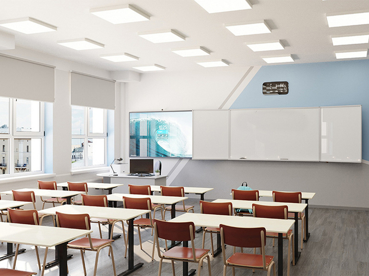 602 класса в воронежских школах приостановили учебный процесс из-за ОРВИ