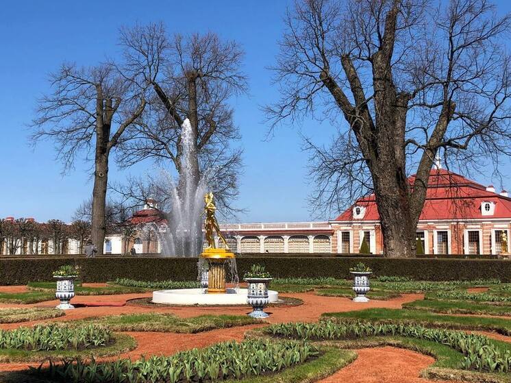 Дворец Монплезир отреставрируют минимум через три года