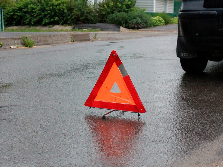 Трагедия под Липецком унесла жизнь водителя легковушки