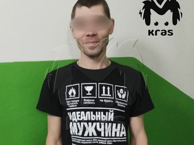 "Идеальный мужчина": отец погибшего в Норильске ребенка отбывает срок за побои жены и падчерицы