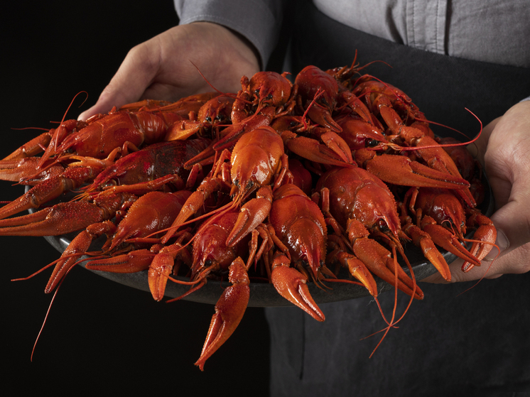 В Кошкинском районе Самарской области незаконно выловили больше тысячи раков