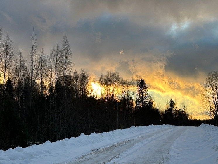 Морозы прогнозируется на Вологодчине