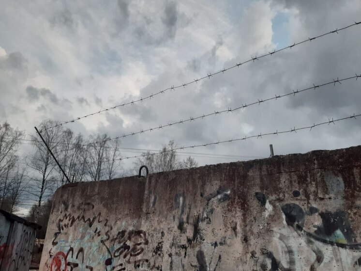 Мурманчанина задержали с крупной партией синтетических наркотиков