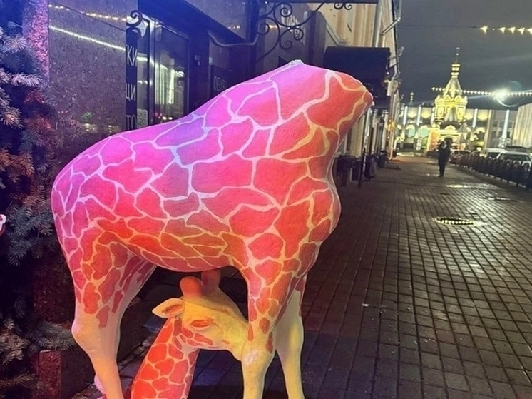 В Ярославле отломали голову жирафу