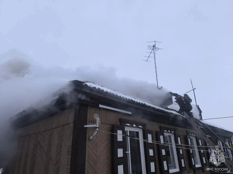 Прогорела печная труба: огонь охватил 100 «квадратов» жилого дома в Рубцовске