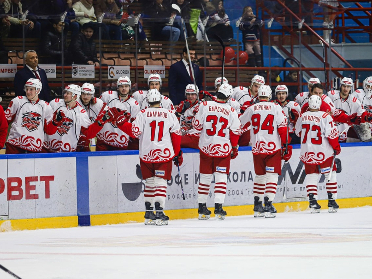 Болельщики ХК «Ростов» создали петицию в поддержку участия клуба в Чемпионате ВХЛ