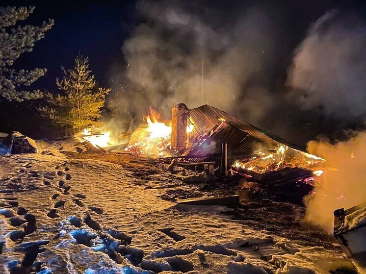 Пожарные Устьянского округа спасли дом от крупного пожара