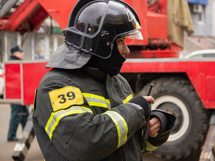 За неделю при пожарах в Тульской области погибли 4 человека