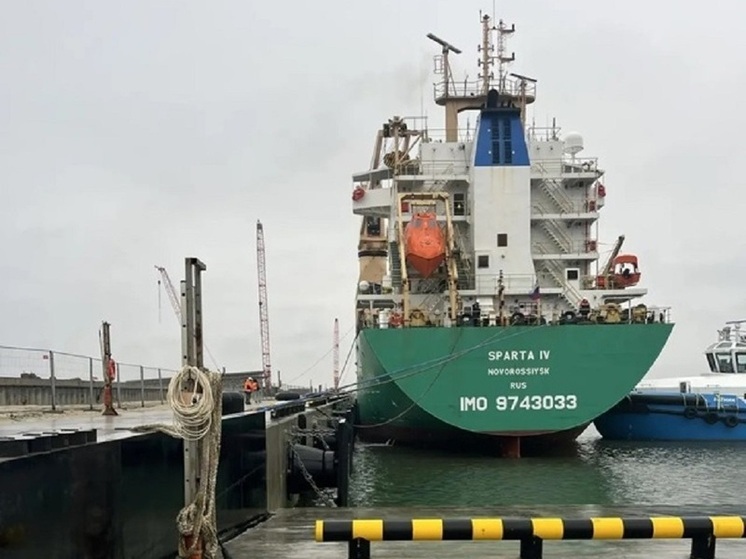 Морской терминал в Пионерском провел контейнерный дебют