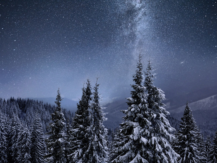 Жители Самарской области успешно пережили самую длинную ночь в году