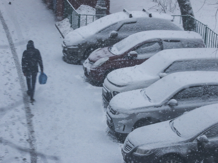 Синоптик Позднякова: температура на неделе в Москве может опуститься до -10 градусов