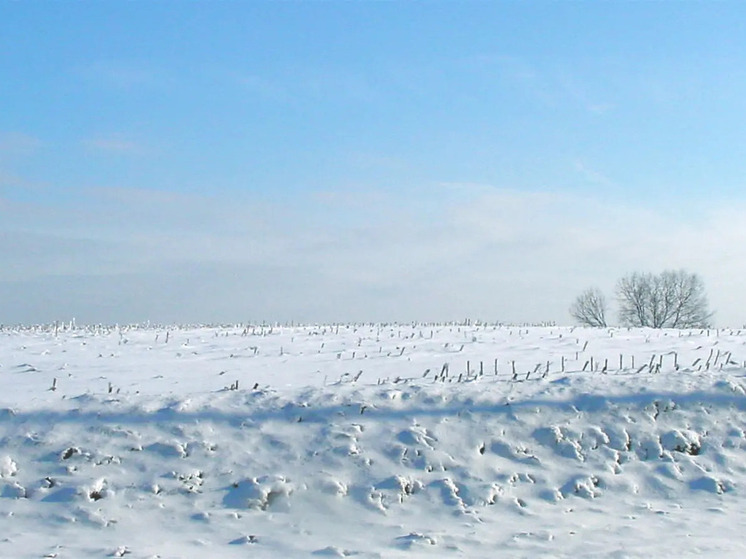 Приметы завтрашнего дня расскажут о погоде в Калмыкии