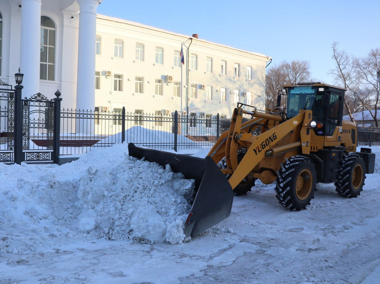 Сотрудники и студенты Амурской медакадемии помогли убрать город от снега