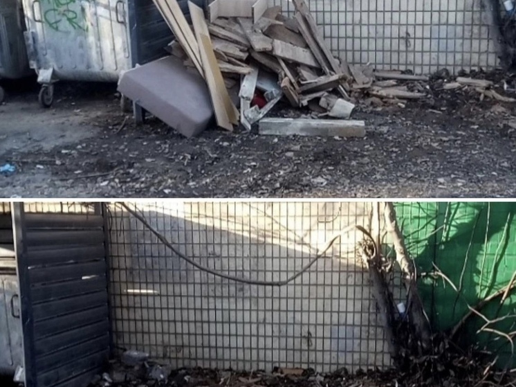 В Сочи за три дня вывезли более 1,9 тонны мусора