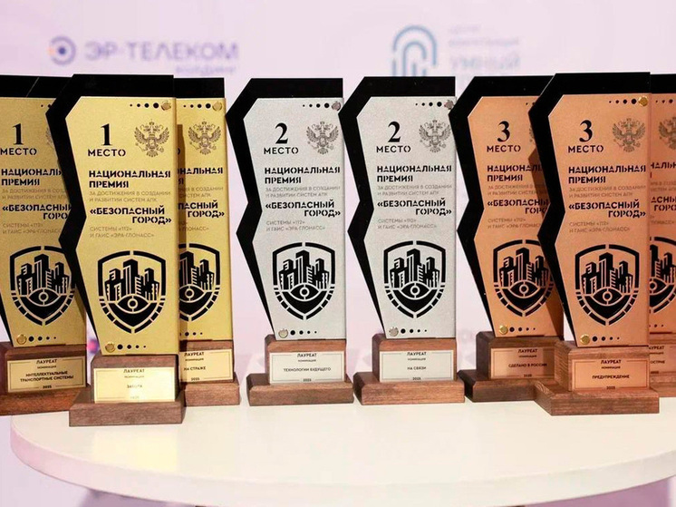Липецкая область завоевала награды на Национальной премии «Безопасный город»