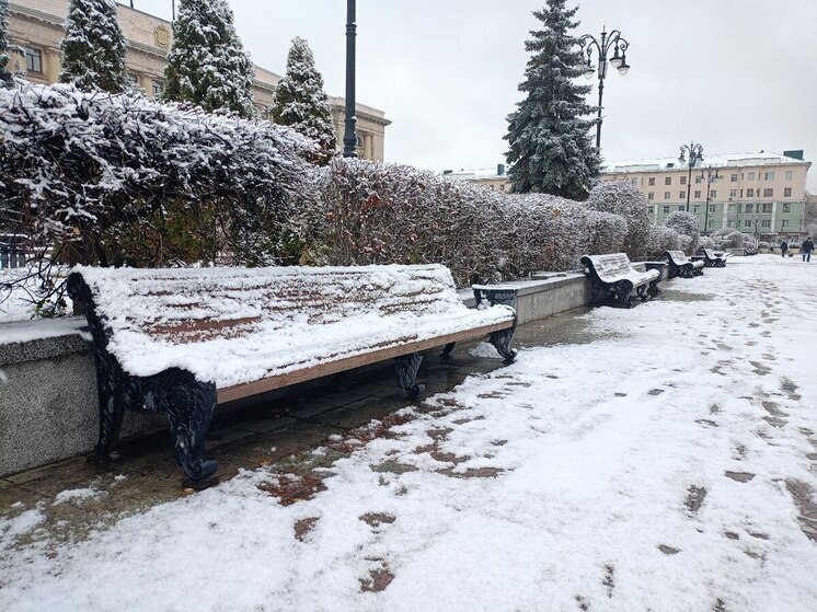 Мороз до −27 градусов ожидается в Пензенской области 24 декабря