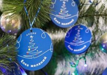 Ранее в Херсонской области, как и по всей России, стартовала акция «Ёлка желаний»