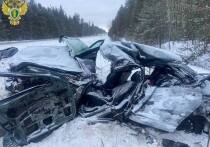 Утром 22 декабря на федеральной трассе в Звениговском районе мужчина погиб в ДТП.