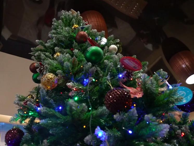 Александр Дронов сделает подарки четырем юным новгородцам в акции «Елка желаний»