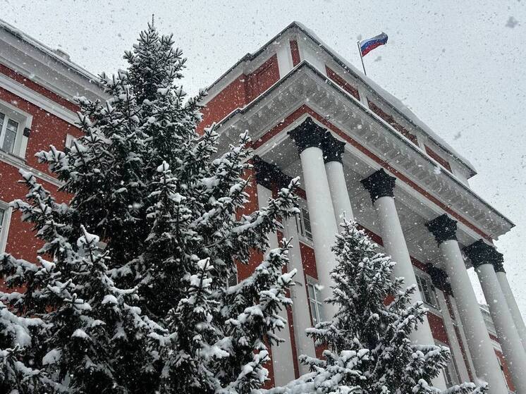 Оттепель и метели прогнозируют в Алтайском крае 23 декабря