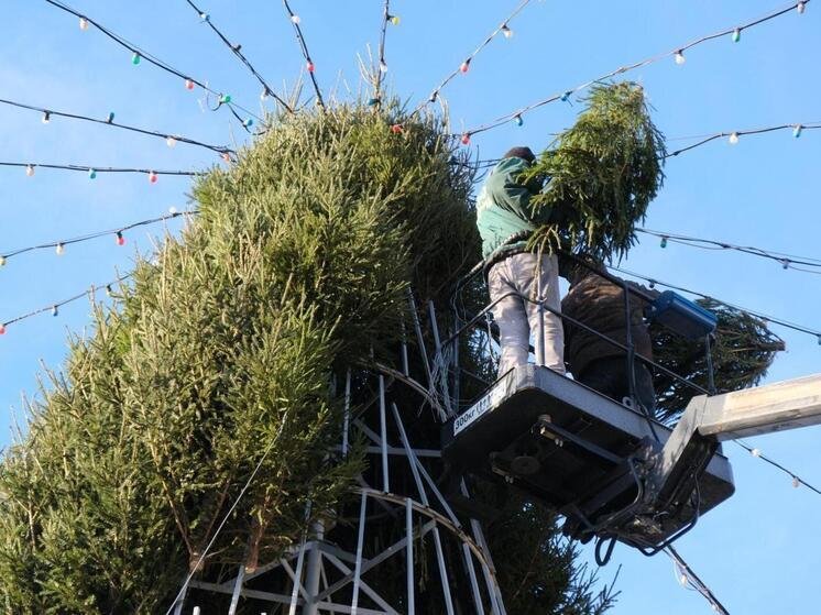 Одна из самых красивых ёлок Астрахани засияла новогодними огнями