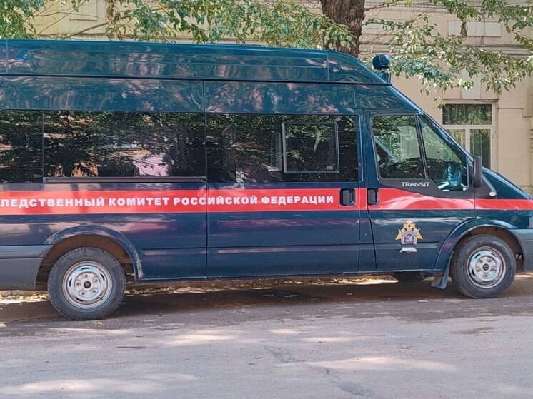 В Бурятии возбуждено уголовное дело после гибели пожилой женщины от побоев сына